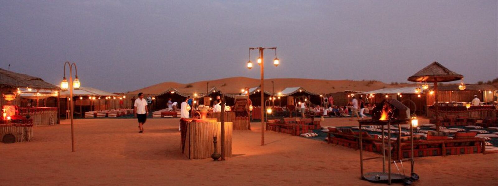 Dinner safari