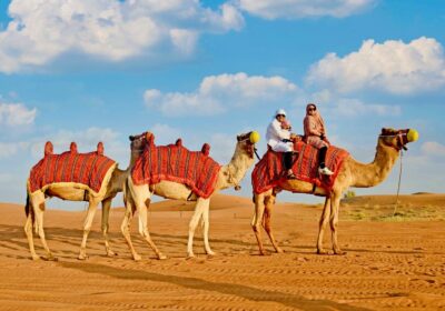 Camel Riding in Dubai – Experience the Timeless Arabian Tradition